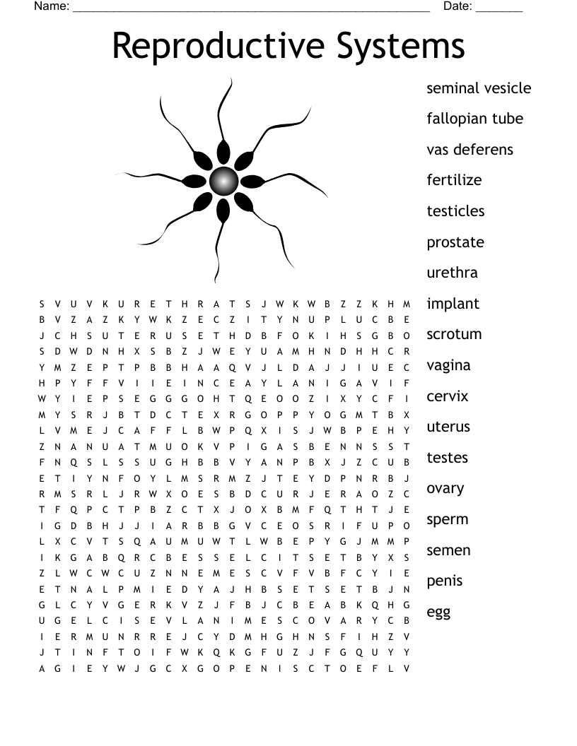 Reproductive Systems Word Search