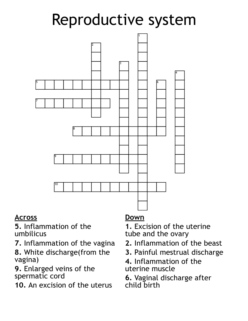 Reproductive system Crossword