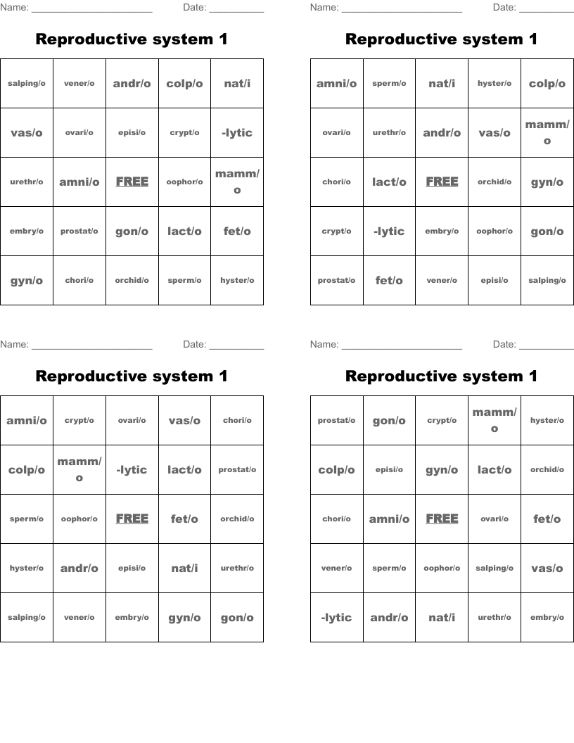 Reproductive system 1 Bingo Cards