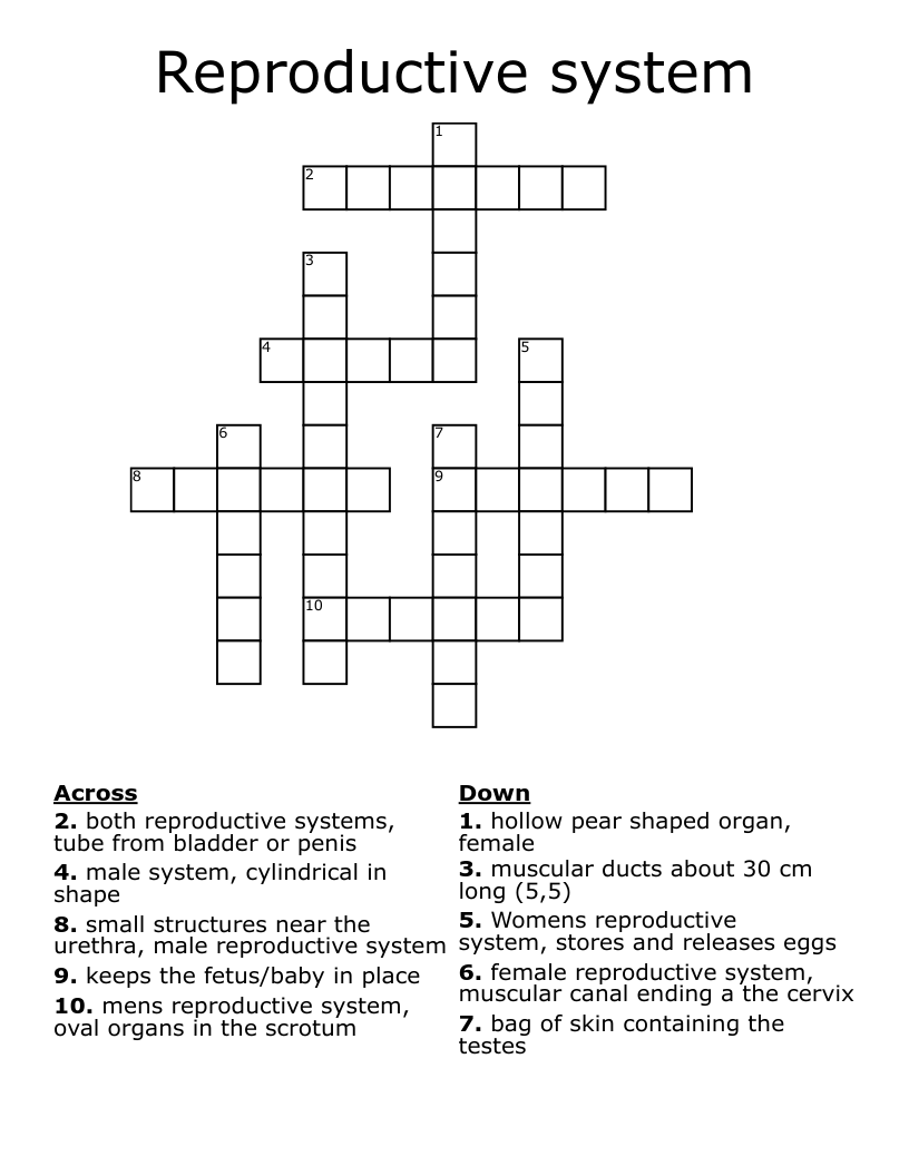 Reproductive system Crossword