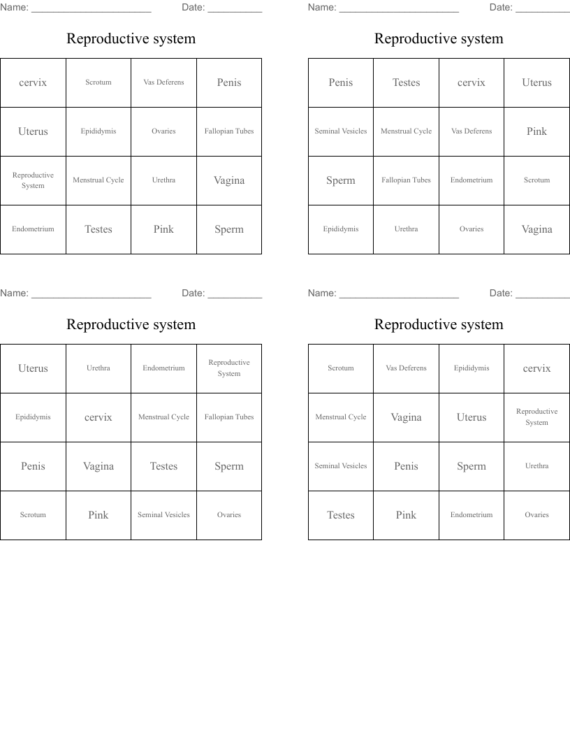 Reproductive system  Bingo Cards