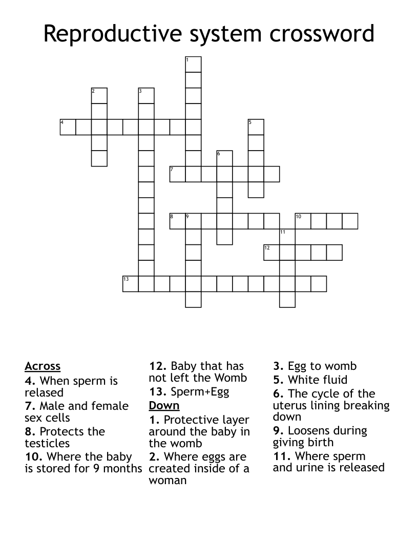 Reproductive system crossword