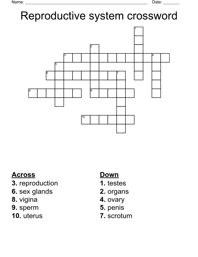 Reproductive system crossword