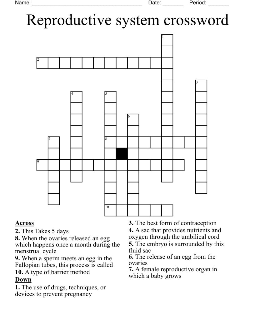 Reproductive system crossword