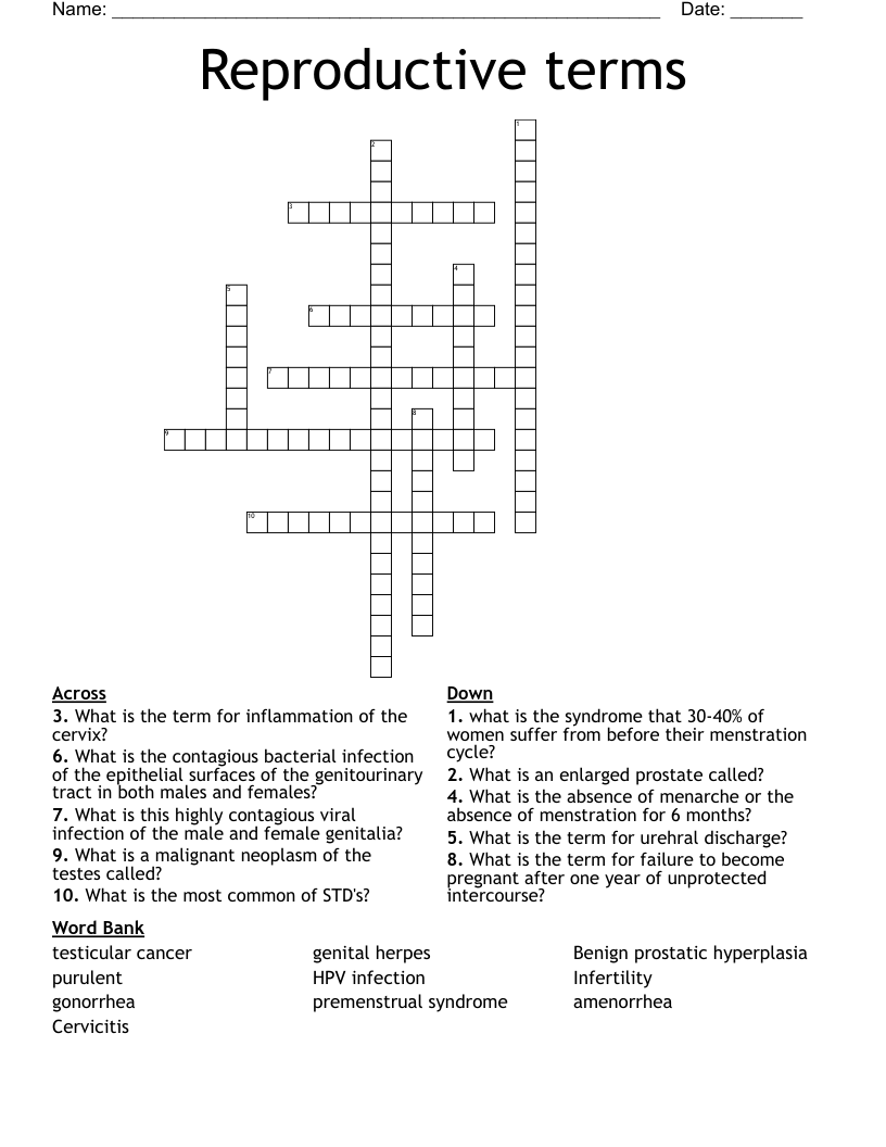 Reproductive terms Crossword