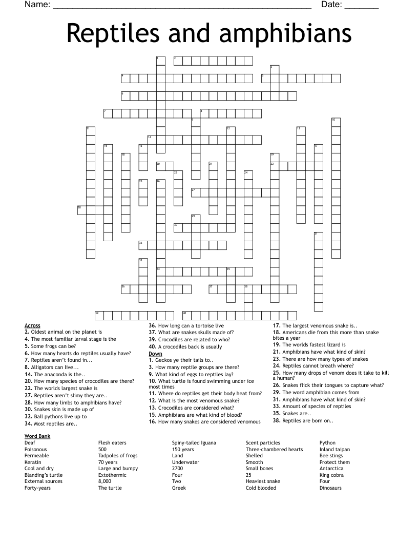 Reptiles and amphibians  Crossword