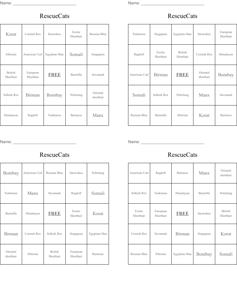 RescueCats Bingo Cards