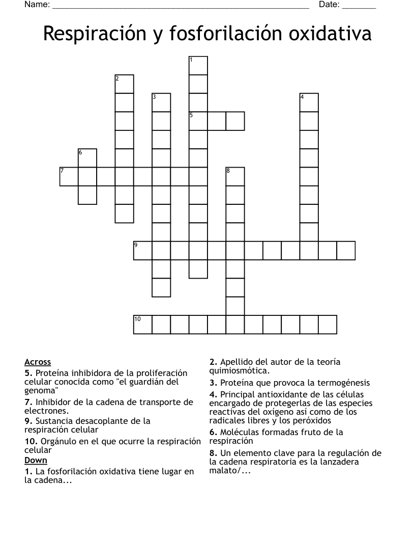 Respiración y fosforilación oxidativa Crossword
