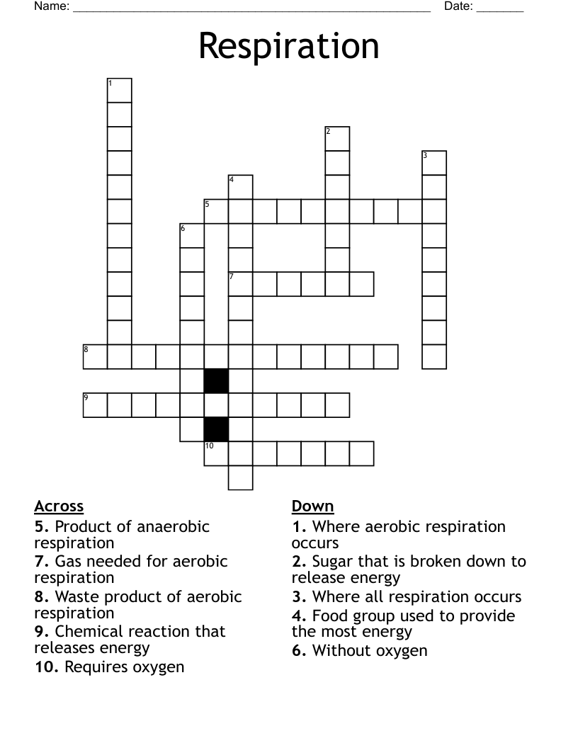 Respiration Crossword