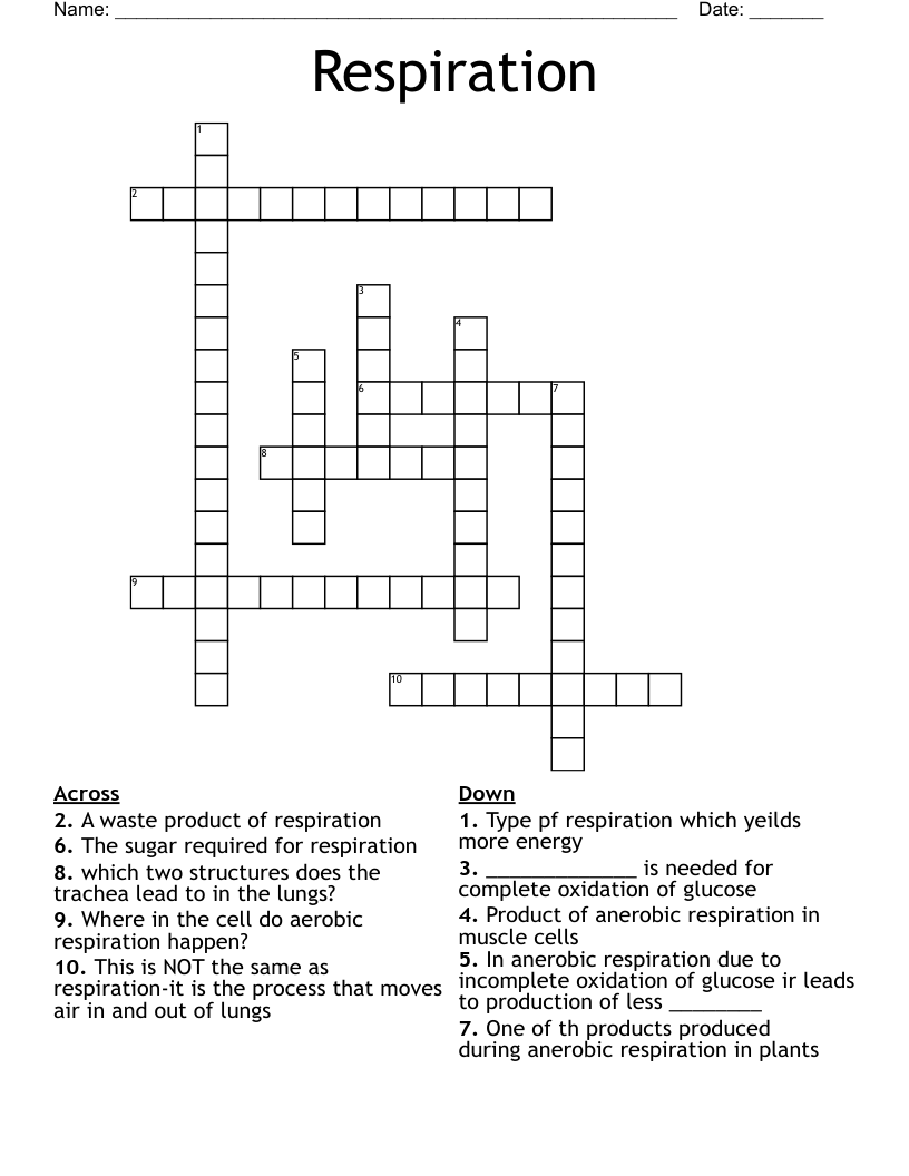 Respiration Crossword