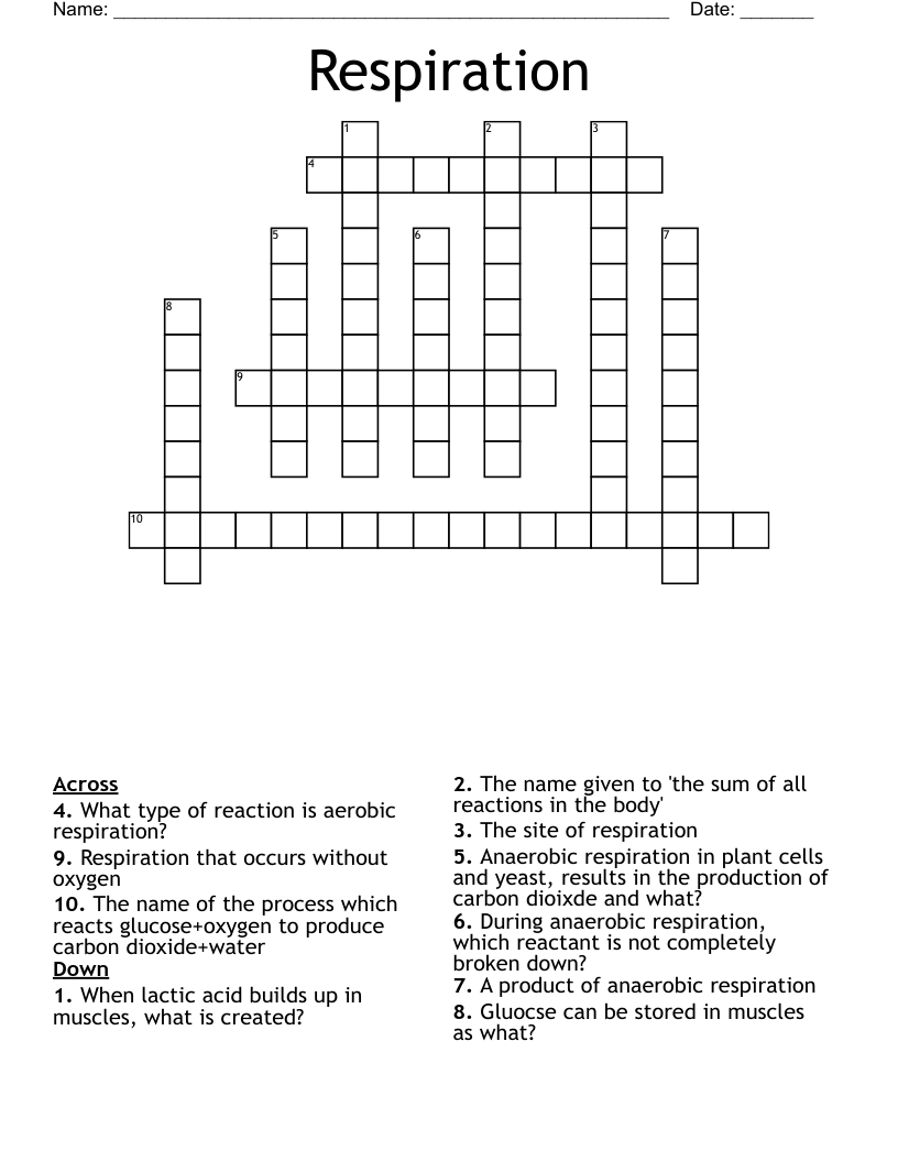 Respiration Crossword