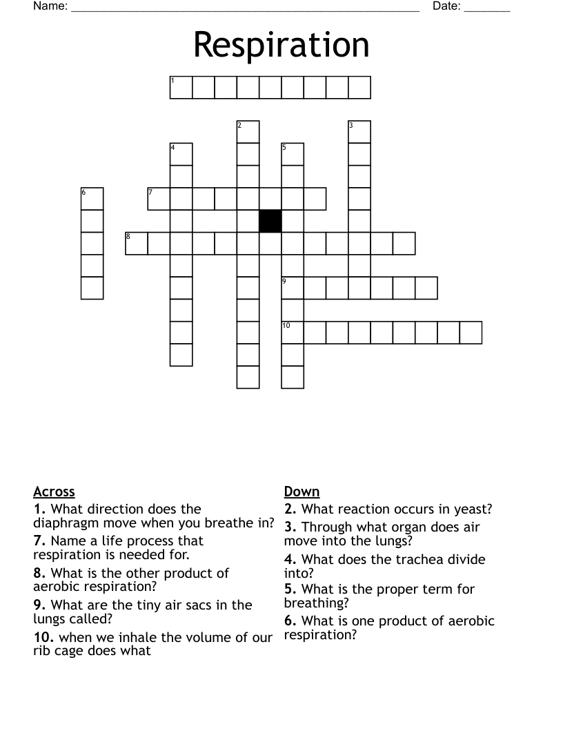Respiration Crossword