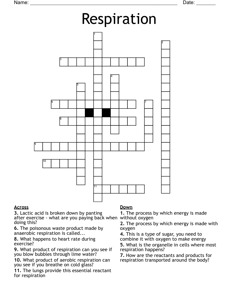 Respiration Crossword
