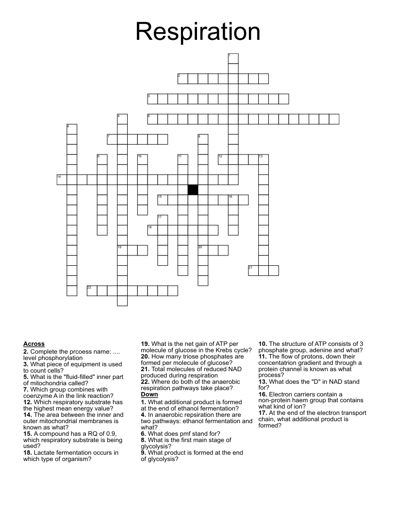 Respiration Crossword