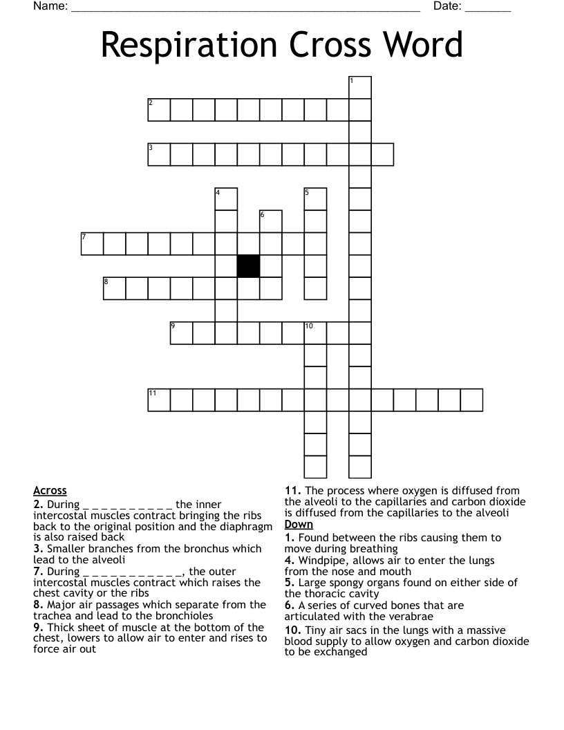 Respiration Cross Word