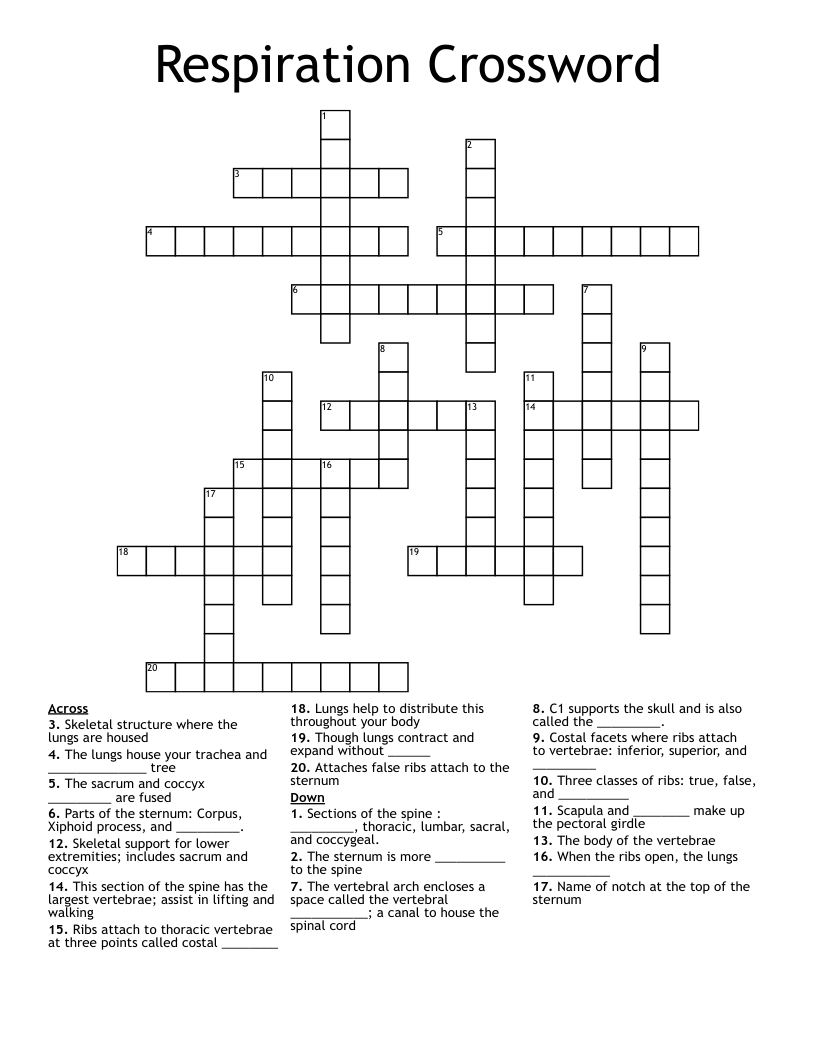 Respiration Crossword