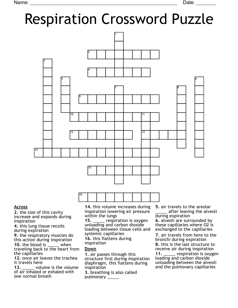 Respiration Crossword Puzzle