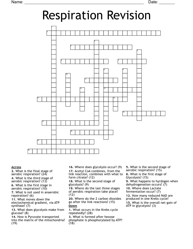 Respiration Revision  Crossword