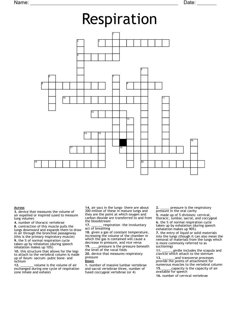Respiration  Crossword