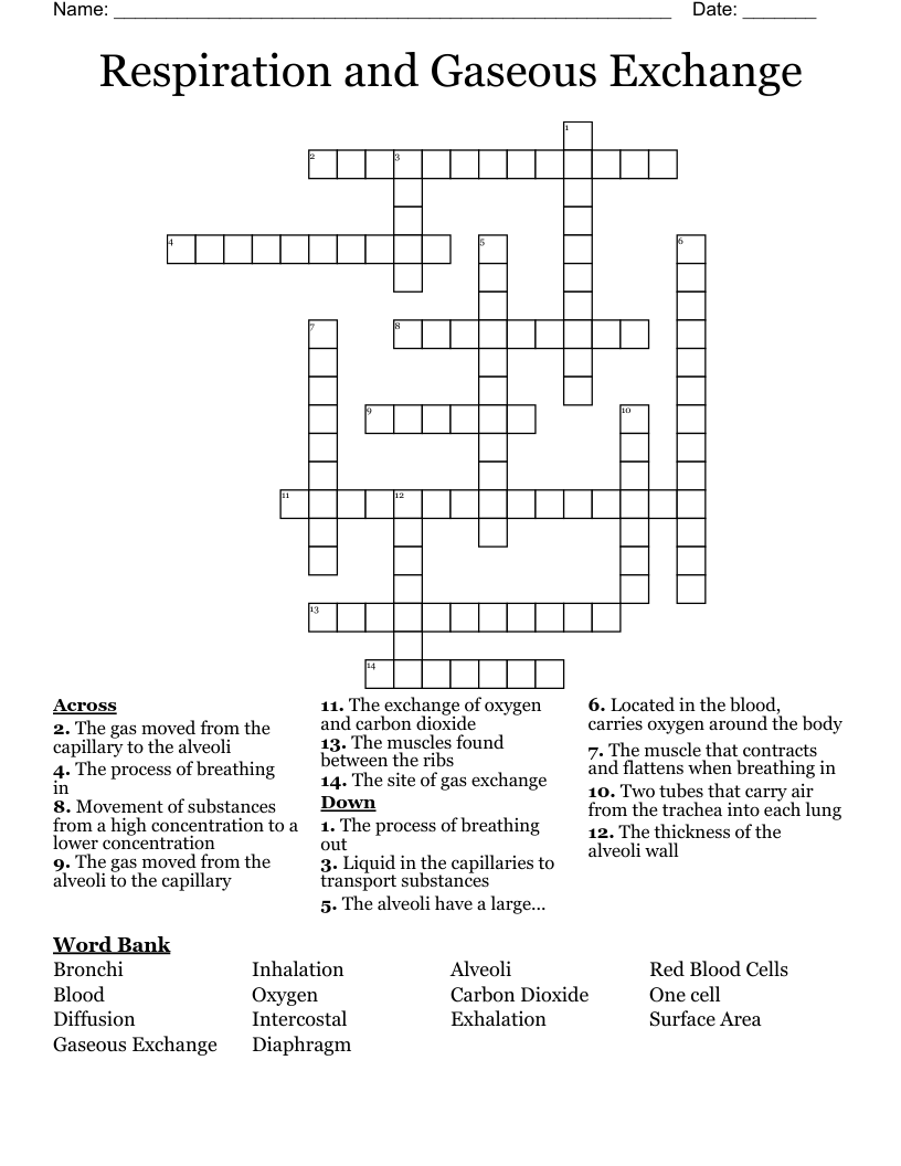 Respiration and Gaseous Exchange  Crossword