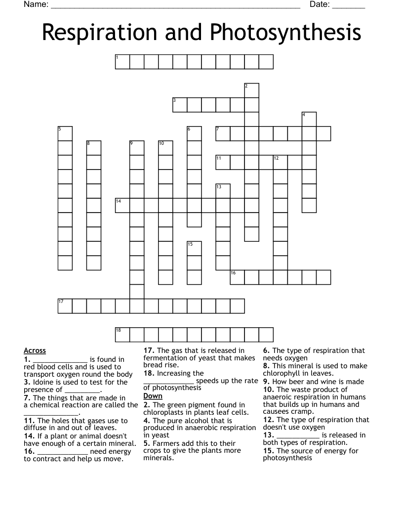 Respiration and Photosynthesis Crossword