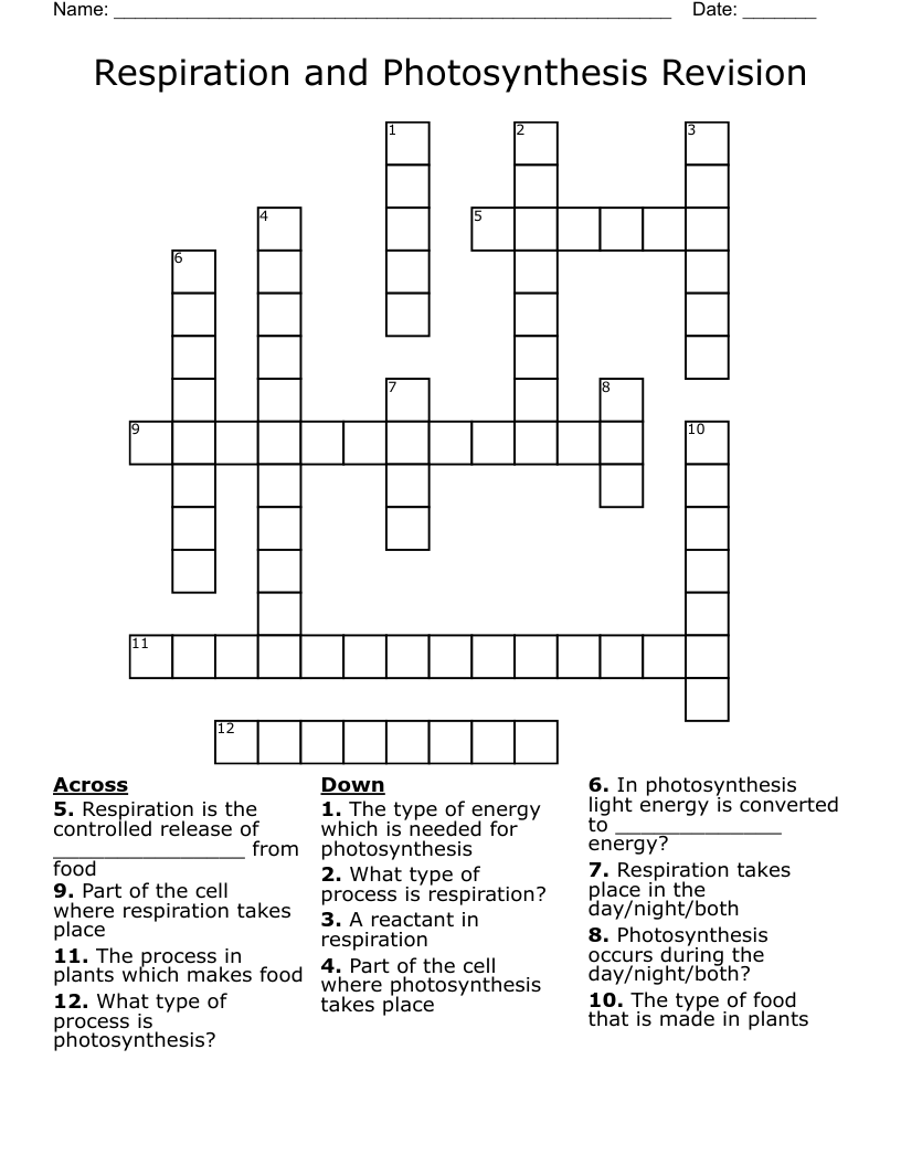 Respiration and Photosynthesis Revision Crossword