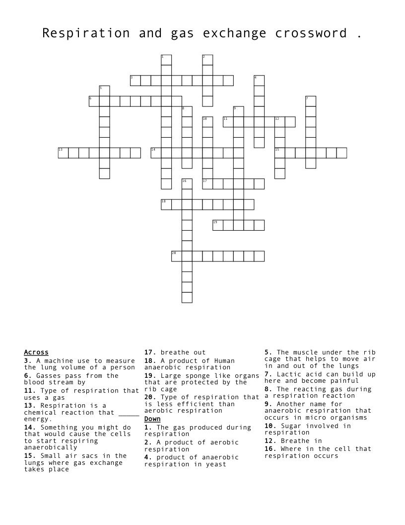 Respiration and gas exchange crossword .