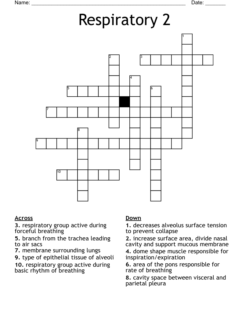 Respiratory 2 Crossword
