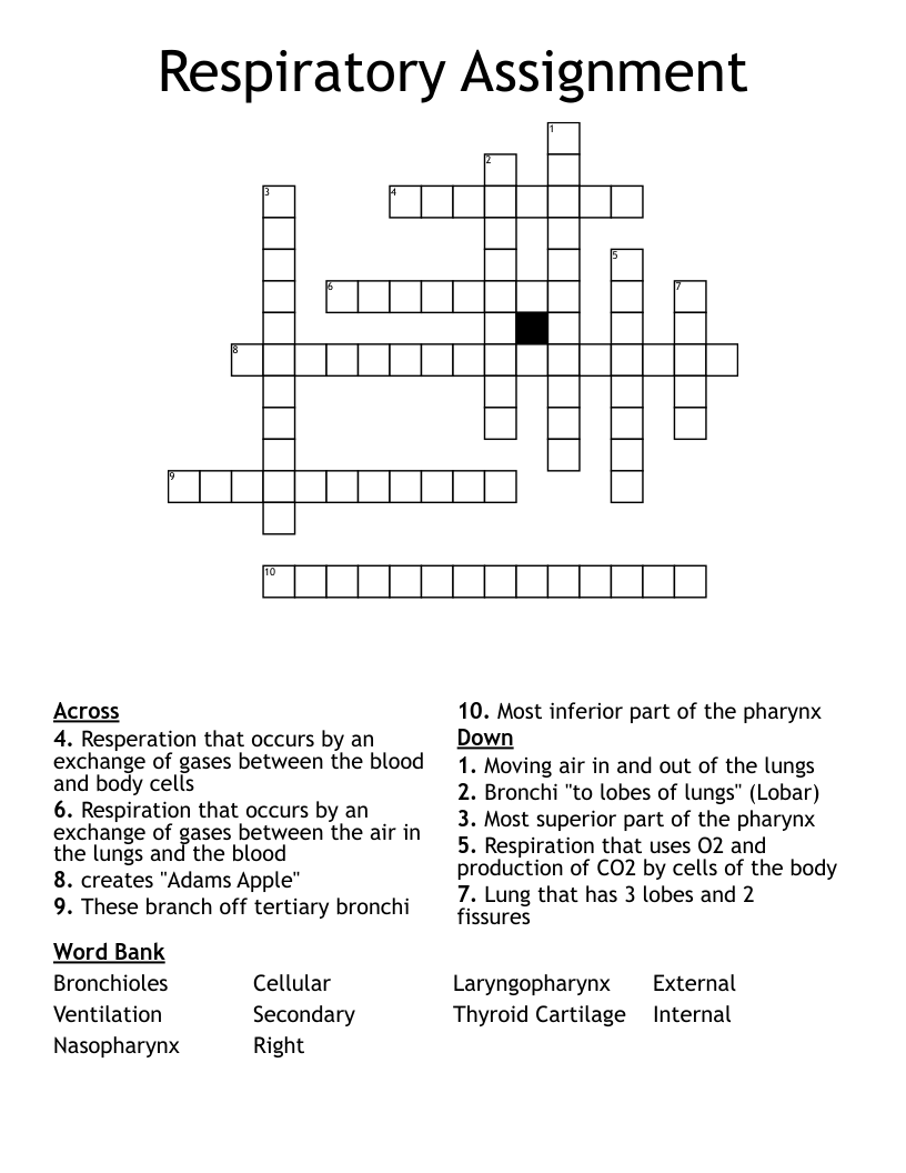 Respiratory Assignment  Crossword