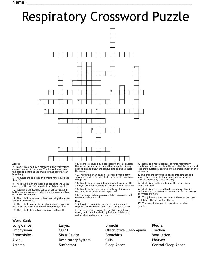 Respiratory Crossword Puzzle