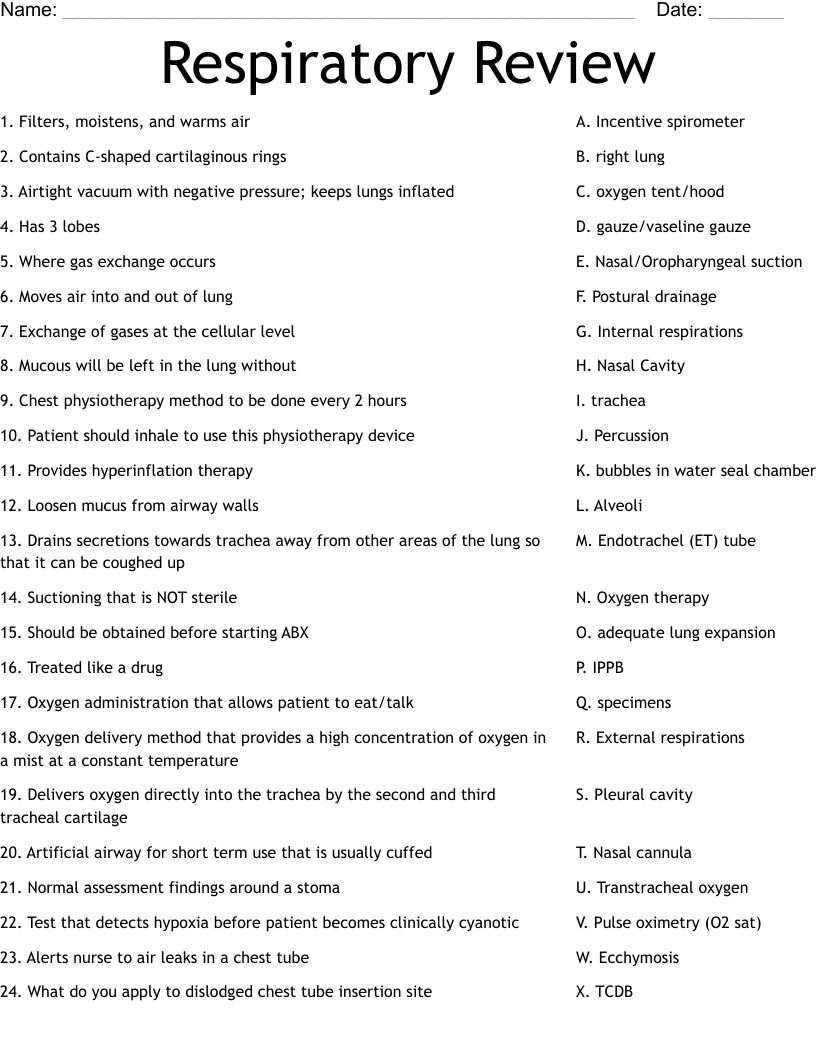 Respiratory Review Worksheet