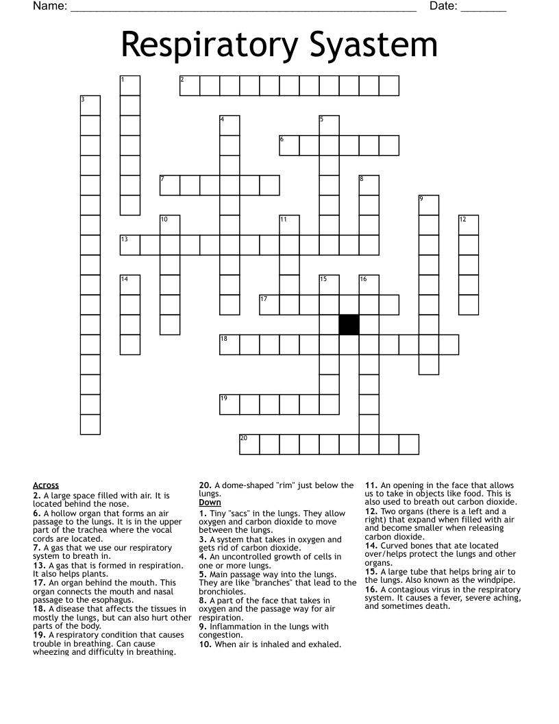 Respiratory Syastem Crossword