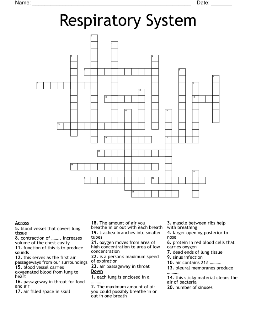 Respiratory System Crossword