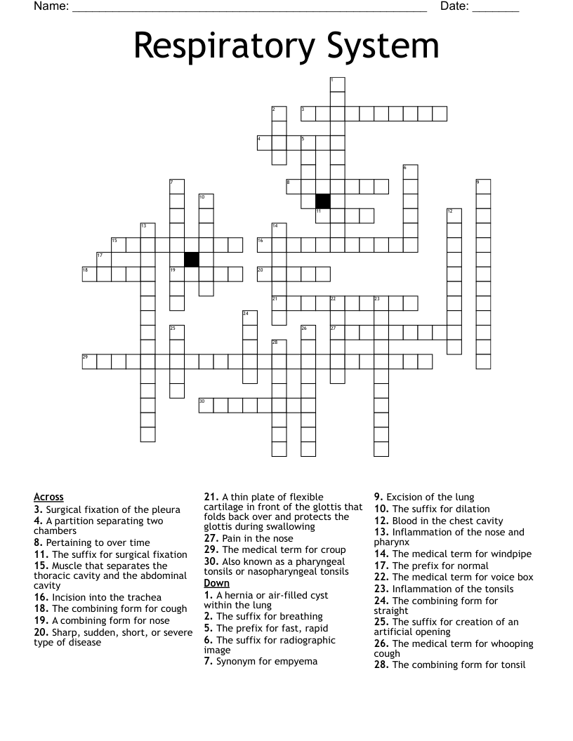 Respiratory System Crossword