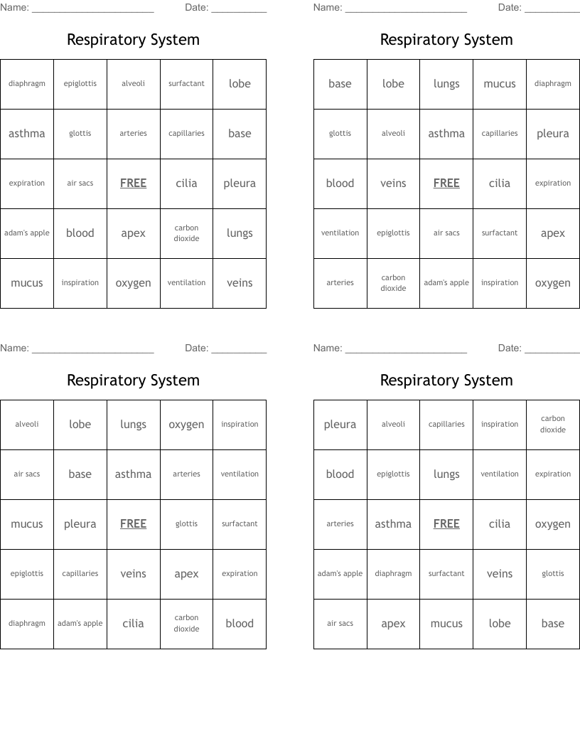 Respiratory System Bingo Cards