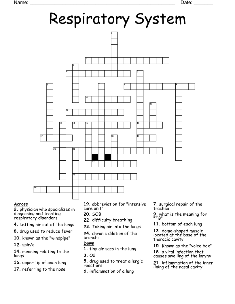 Respiratory System Crossword