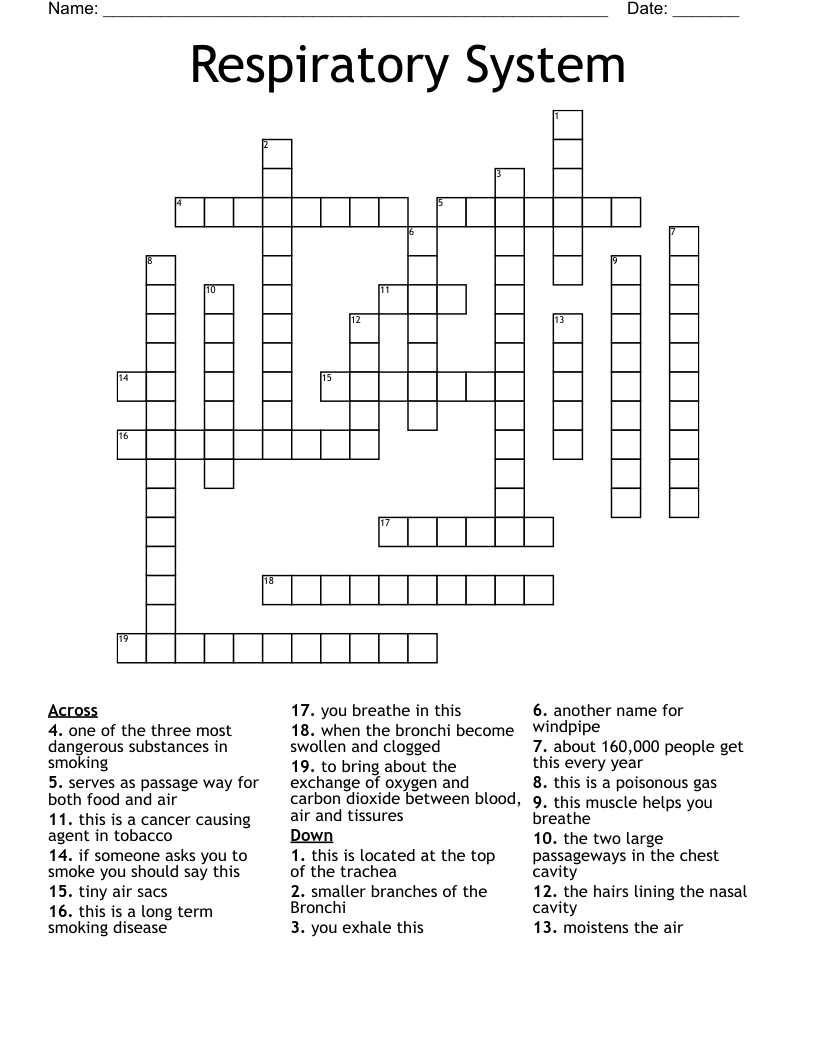 Respiratory System Crossword