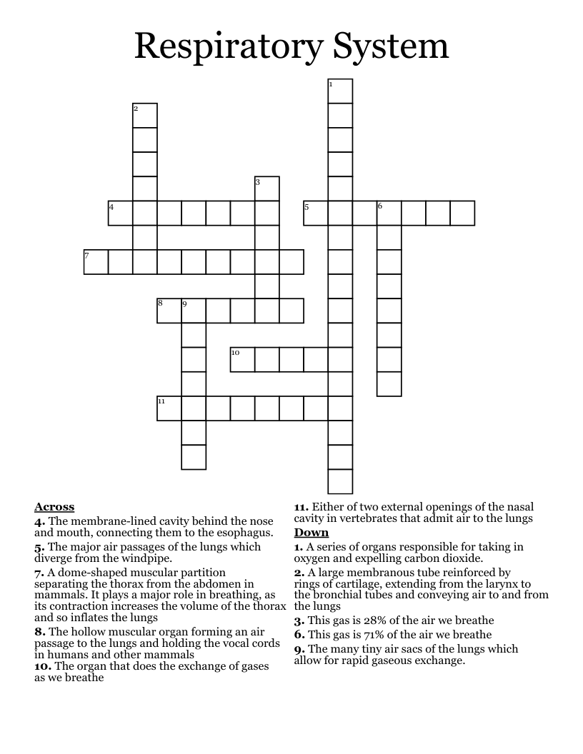 Respiratory System Crossword