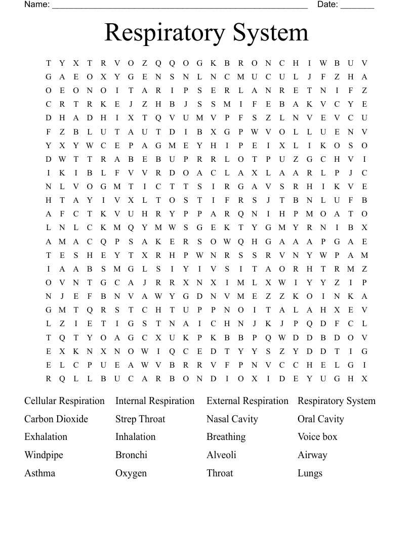 Respiratory System Word Search