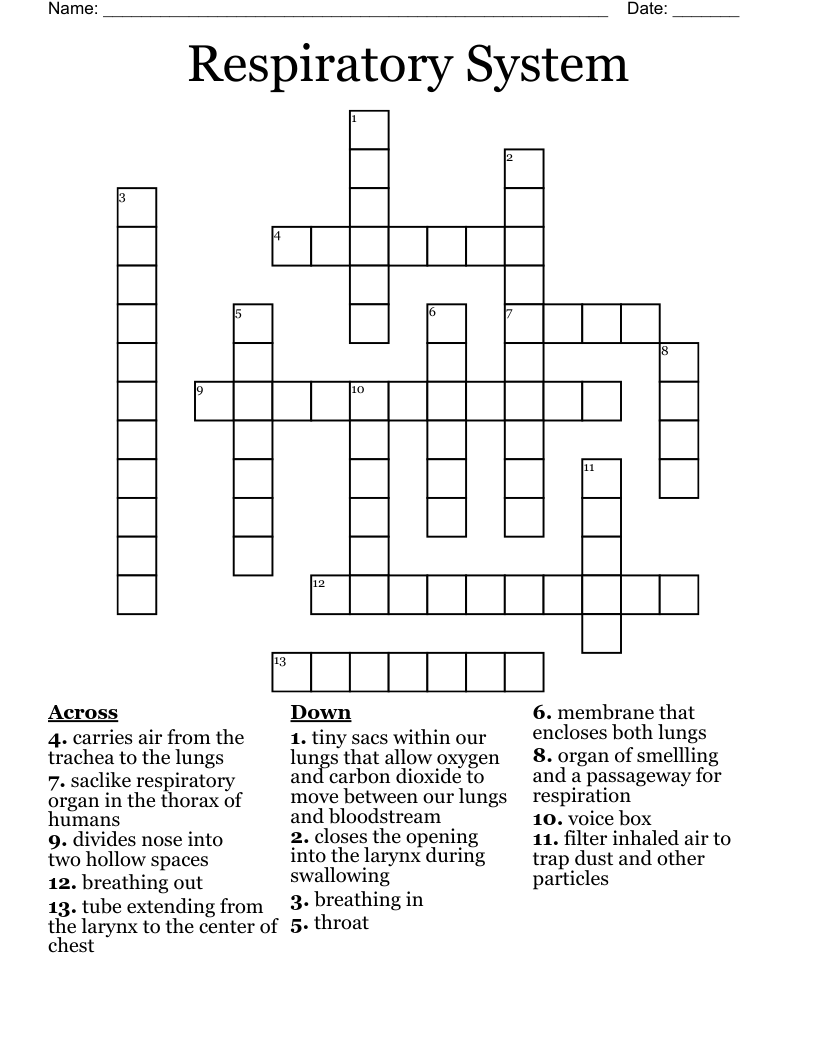 Respiratory System Crossword