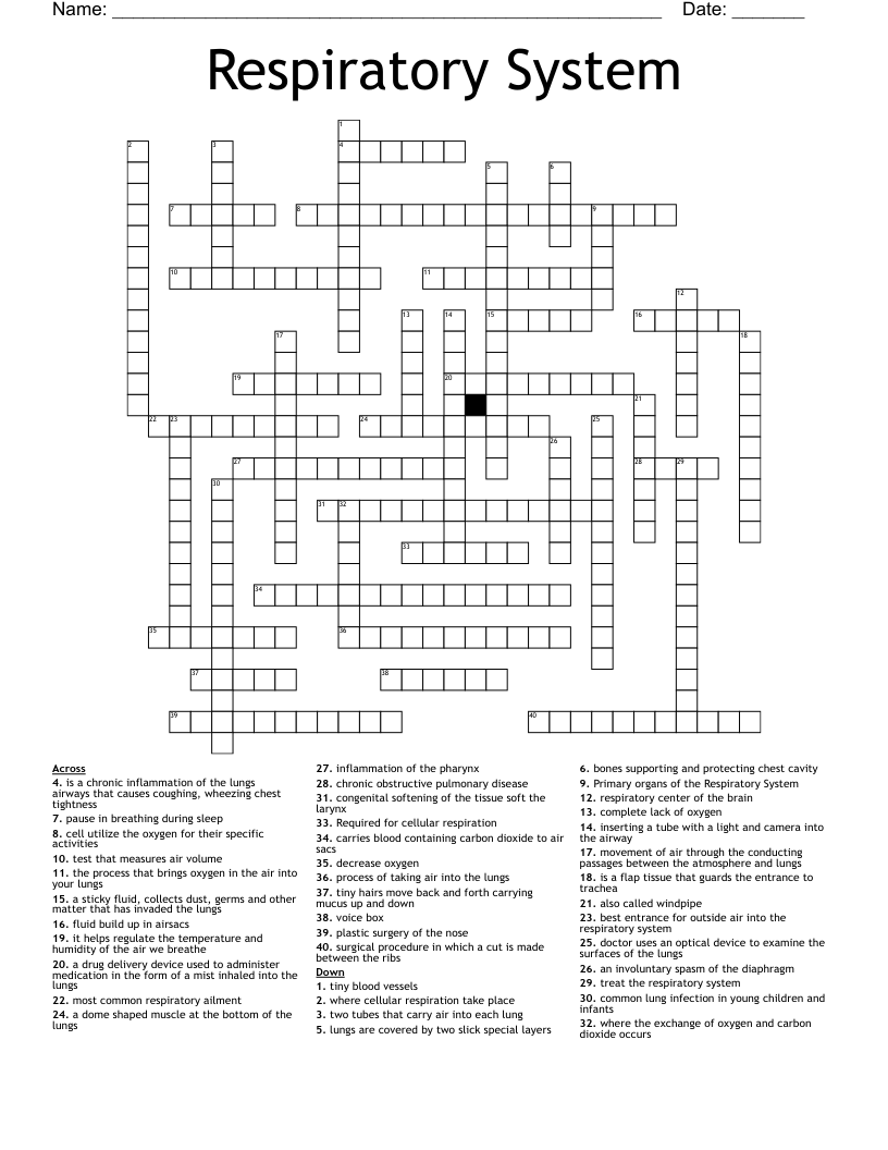Respiratory System Crossword