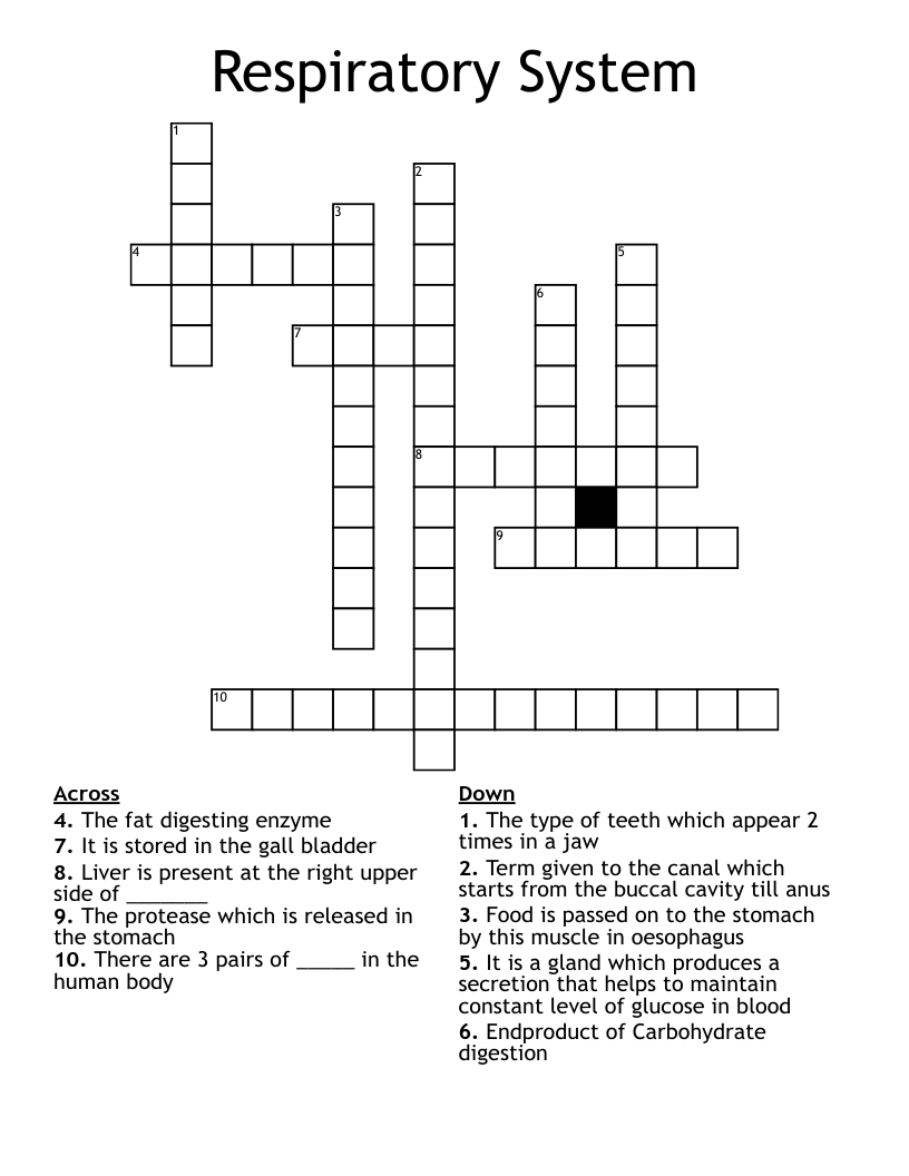 Respiratory System Crossword