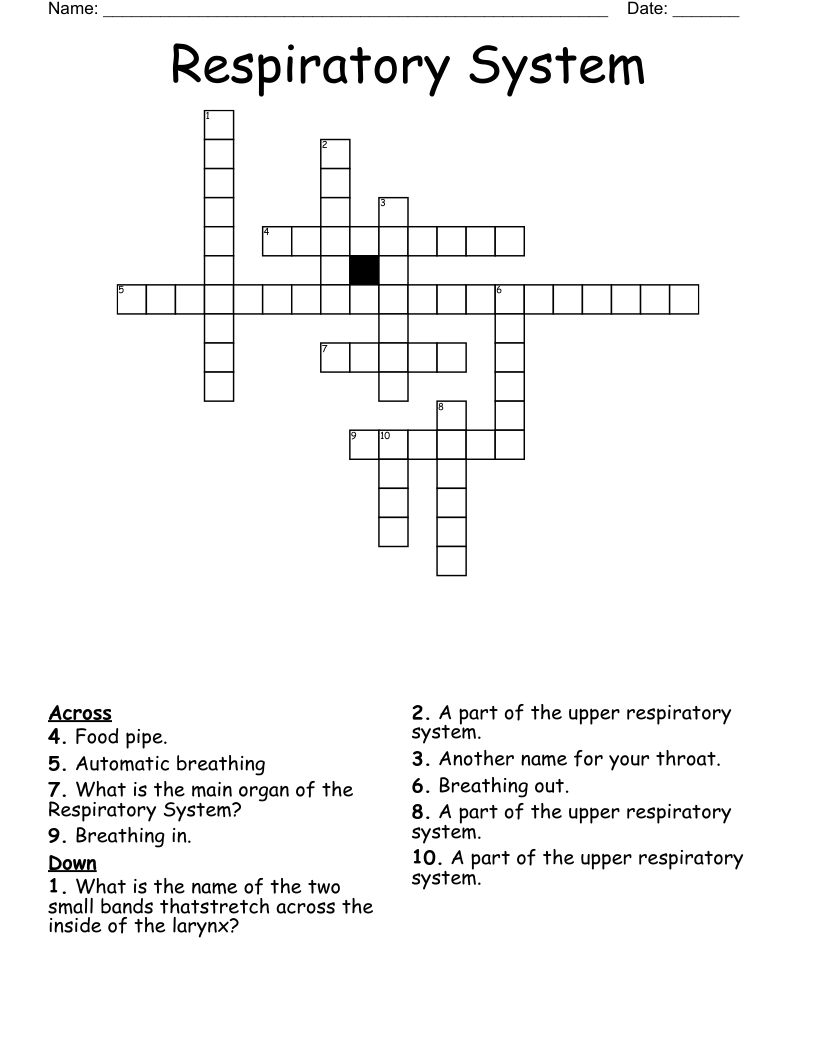 Respiratory System Crossword