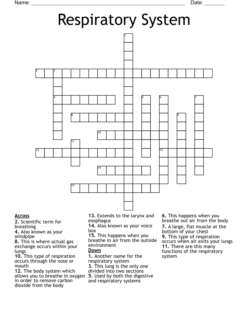 Respiratory System Crossword