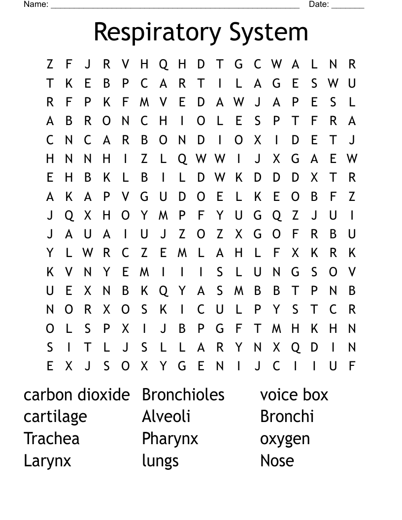 Respiratory System Word Search