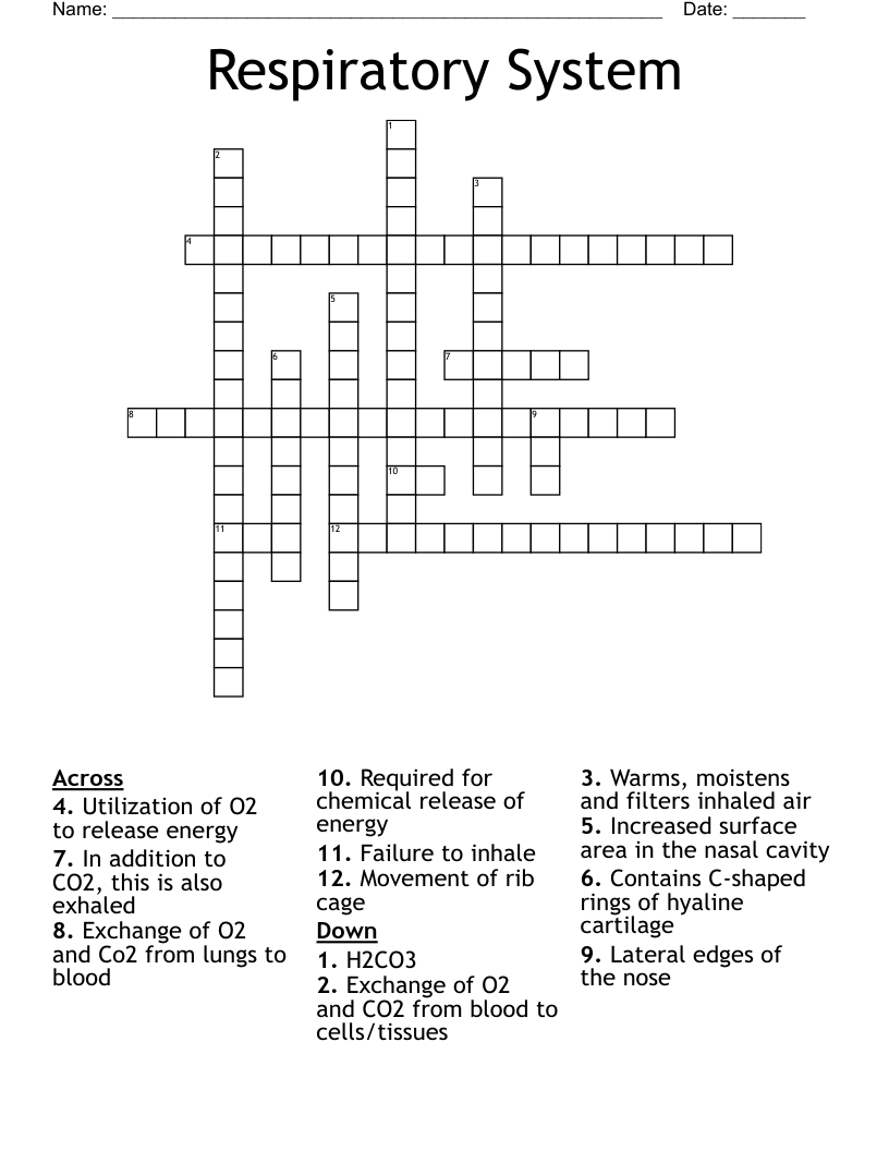 Respiratory System Crossword