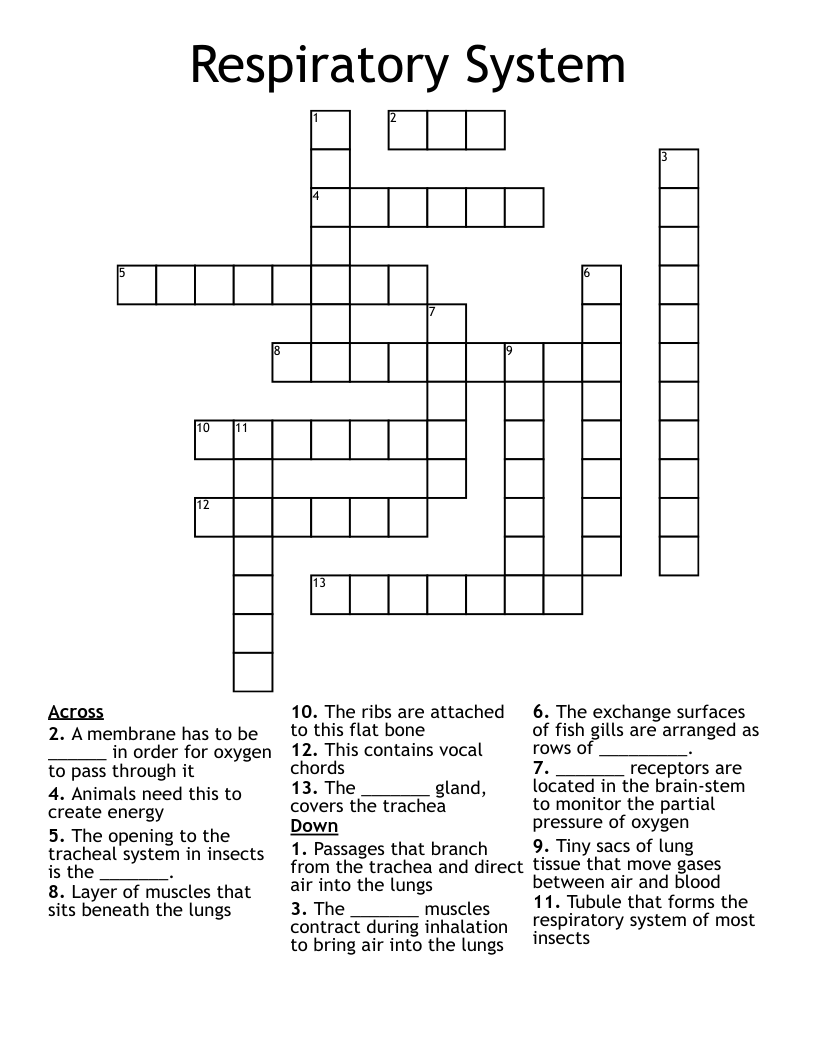 Respiratory System Crossword