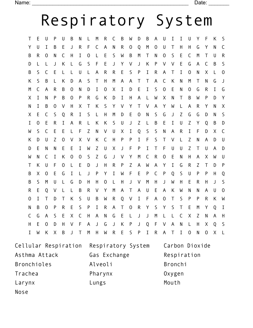 Respiratory System Word Search
