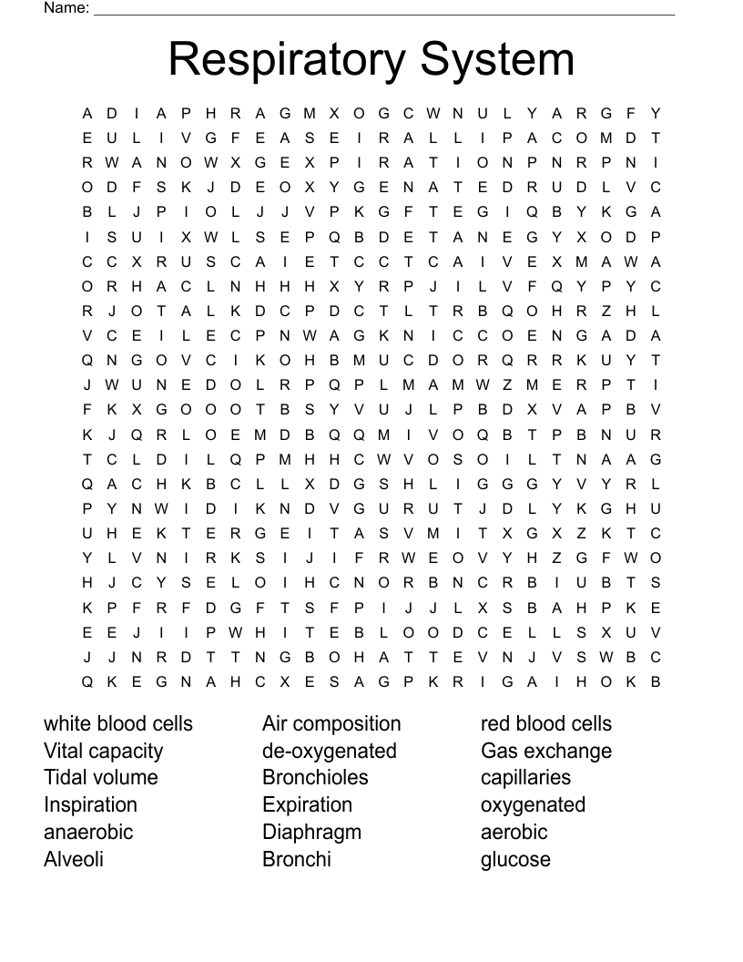 Respiratory System Word Search