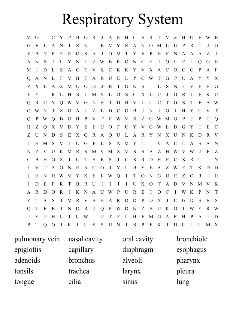 Respiratory System Word Search